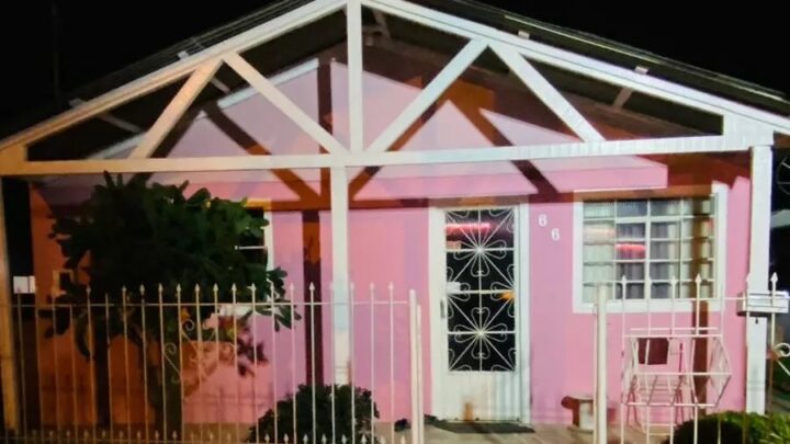 Um cachorro morreu e outros três ficaram feridos em incêndio criminoso em SC; uma mulher foi presa