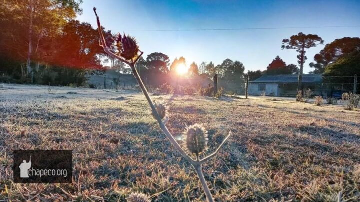 Onda de frio: próximos dias devem registrar temperaturas de até -4ºC em SC
