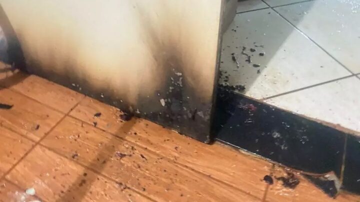 Incêndio em lareira deixa família com queimaduras de 2° grau no Oeste de SC