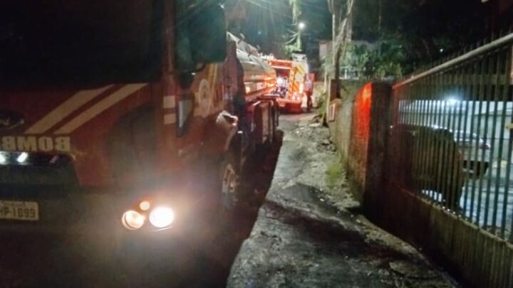 Cachorros morrem após residência pegar fogo de madrugada