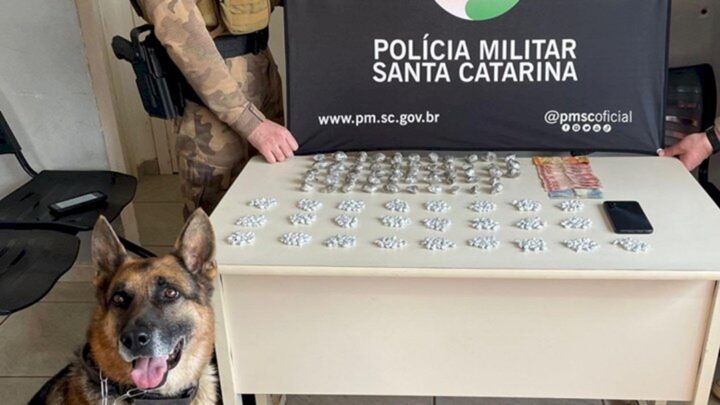 Cão de faro encontra crack e maconha durante prisão em Chapecó