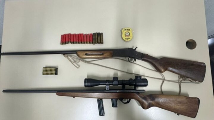 Idoso é preso com armas e munições após denúncia de caça de animais