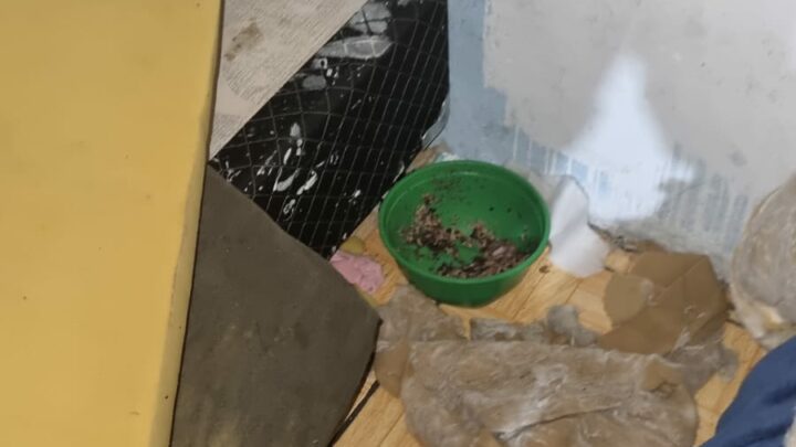 Mãe é presa após abandonar três crianças em casa em SC