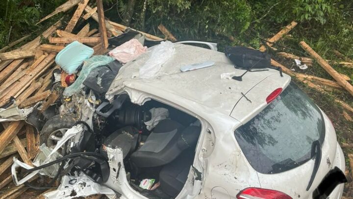 Acidente com caminhão na BR-282 mata homem e cachorro