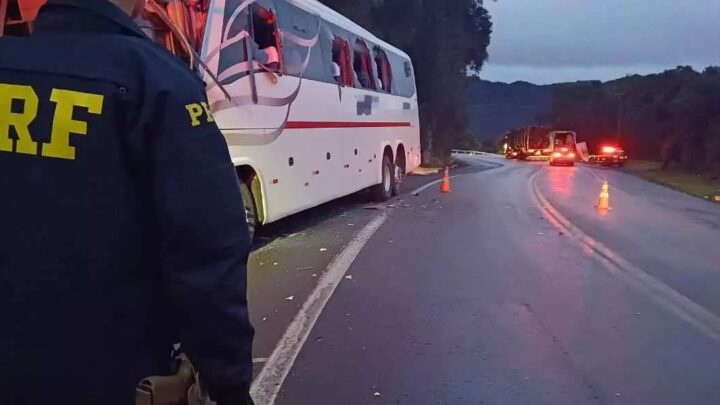 Colisão entre ônibus e caminhão deixa motorista ferido na BR-116