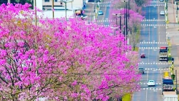 Primeira semana da primavera começa com sol e calor em SC
