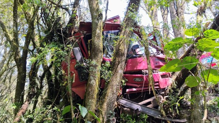 Motorista sai ileso após caminhão colidir frontalmente contra árvore em Irani