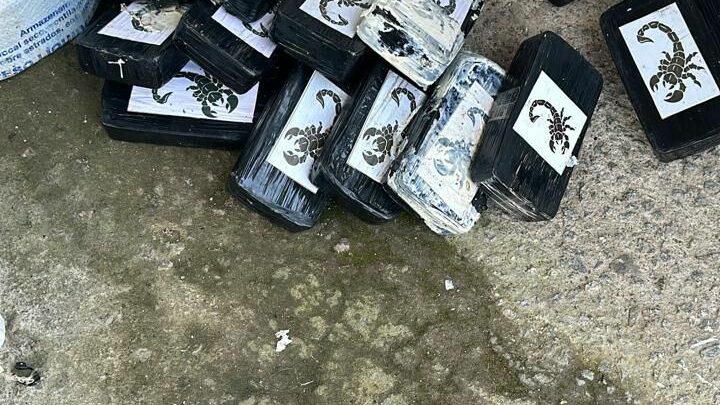 Operação da PC apreende mais de meia tonelada de cocaína e pasta base em SC