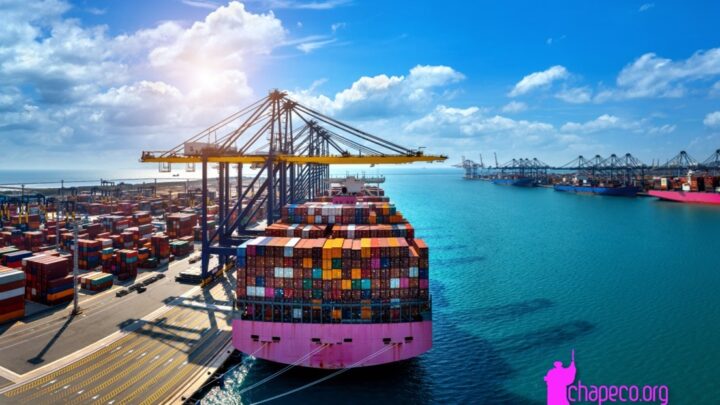 Exportações de SC atingem US$ 844,87 milhões em janeiro