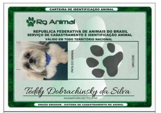 RG Animal: cadastro nacional de cães e gatos começa a valer no Brasil RG Animal: cadastro nacional de cães e gatos começa a valer no Brasil