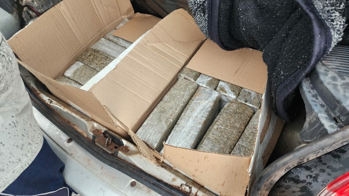 Operação conjunta da polícia apreende mais de 100 kg de maconha na BR 282 Operação conjunta da polícia apreende mais de 100 kg de maconha na BR 282