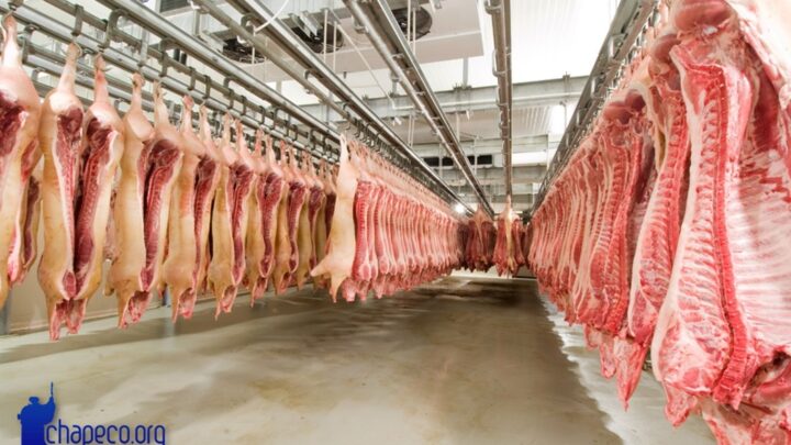 Com embarque de 55,7 mil toneladas de carne suína, Santa Catarina bate recorde em janeiro