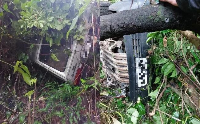 Carro cai em ribanceira em Blumenau e motorista sai ileso