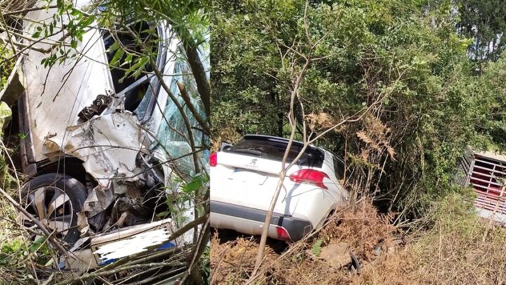 Caminhão carregado com galinhas colide com carro na BR-282