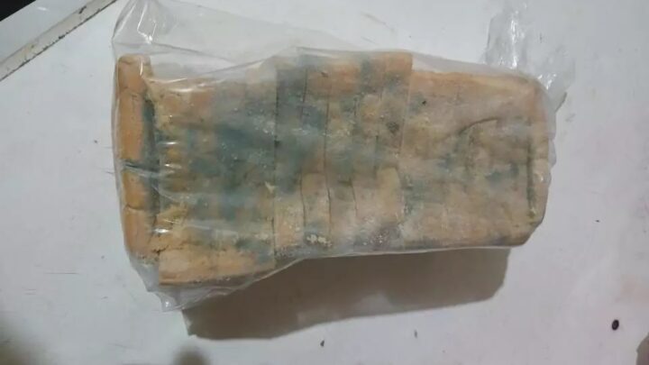 Pão mofado e ameaças: homem é preso por maltratar e abandonar filho em SC
