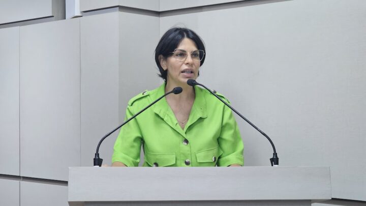 Centro Dia para Idosos é proposta na Câmara de Chapecó