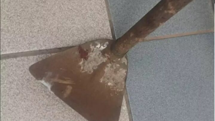 Mãe leva enxadada na cabeça pelo próprio filho após discussão em SC