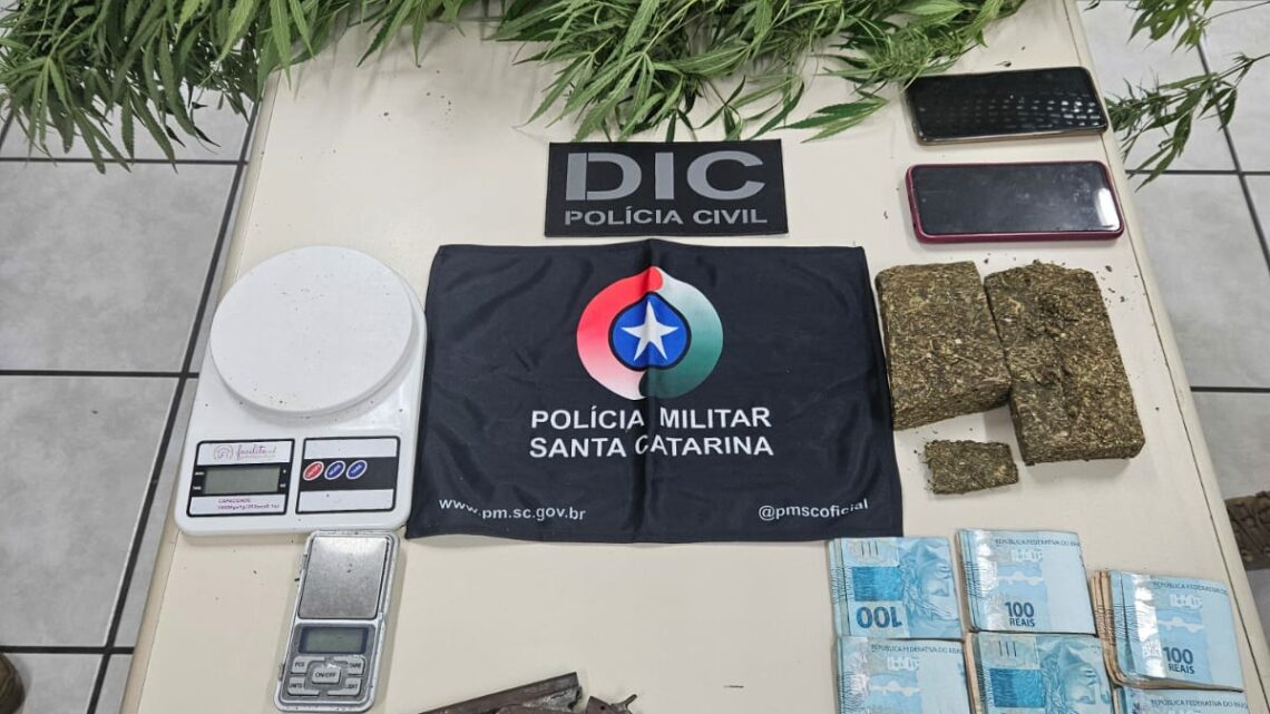 Casal é preso com pés de maconha no interior de Videira Casal é preso com pés de maconha no interior de Videira