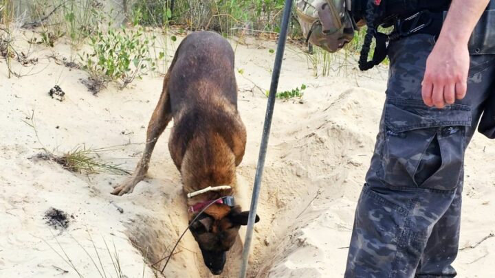 Polícia encontra corpo de mulher enterrado em dunas de praia em SC