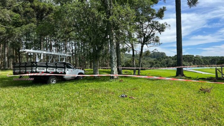 Trabalhador morre atingido no pescoço por lâmina de roçadeira