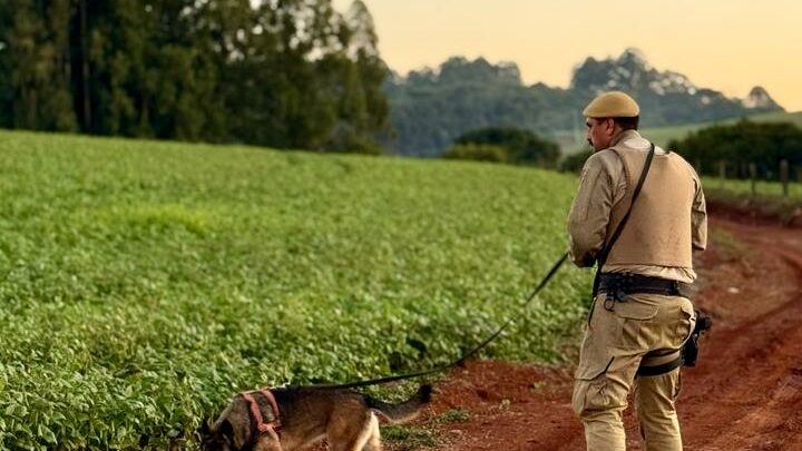 Homem é encontrado desorientado após desaparecimento em área rural de Xanxerê
