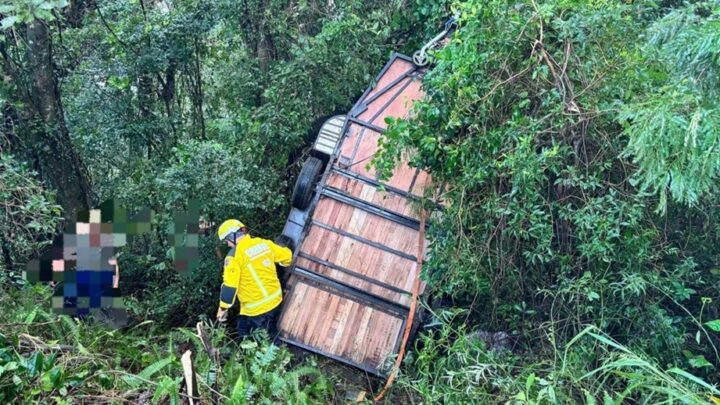 Cavalos ficam presos após capotamento de reboque em SC
