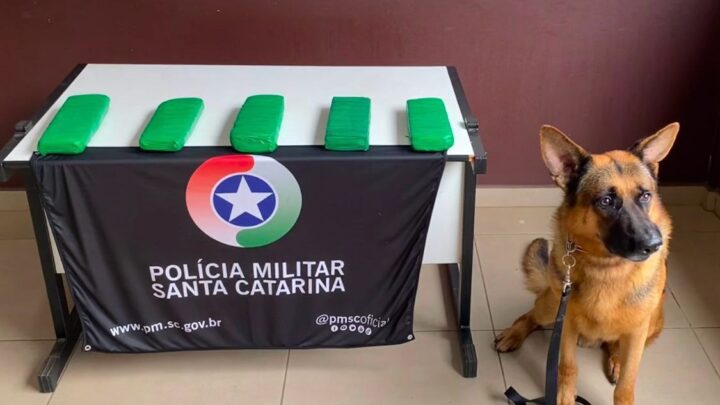 Polícia Militar apreende quase 04 kg maconha em carro abandonado em frente de mecânica em Chapecó
