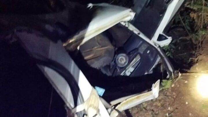 Condutora morre ao capotar carro em mata na BR-282