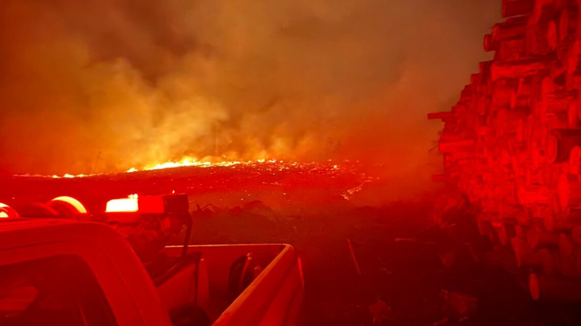 Bombeiros combatem incêndio florestal em Vargem Bombeiros combatem incêndio florestal em Vargem