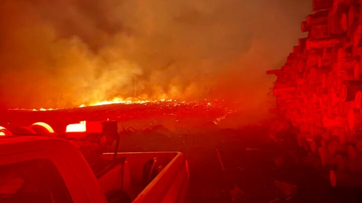 Bombeiros combatem incêndio florestal em Vargem