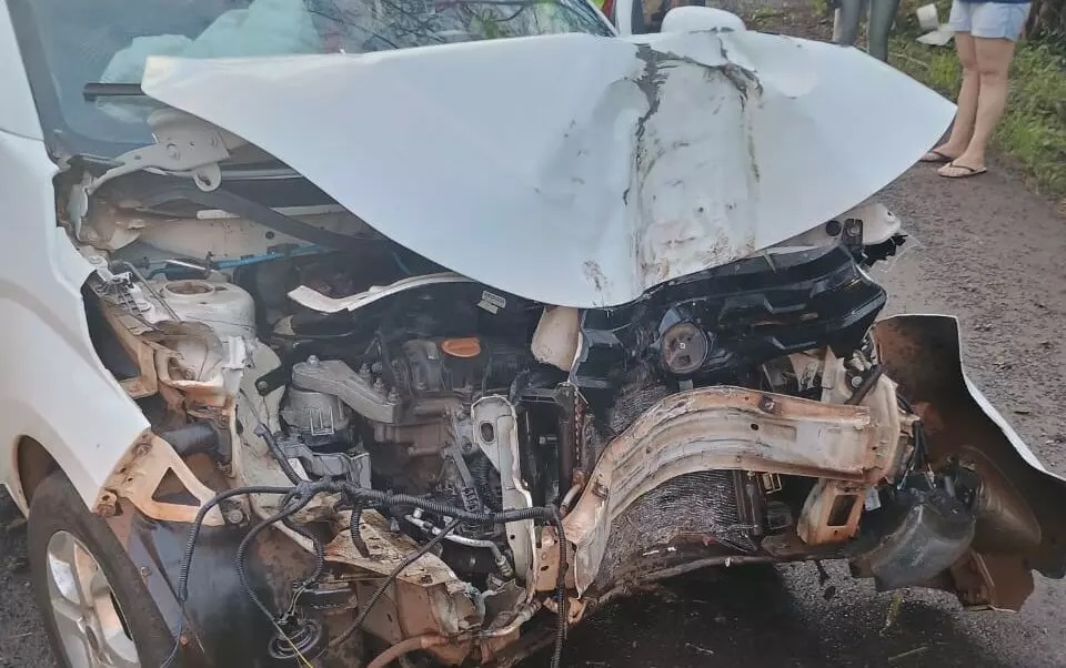 Mulher fica ferida após bater carro em árvore na SC-283 Mulher fica ferida após bater carro em árvore na SC-283