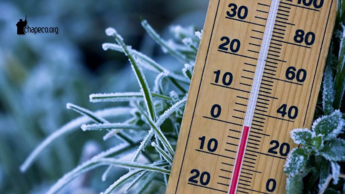 Onda de ar polar: entenda fenômeno que deve causar neve no Sul do Brasil