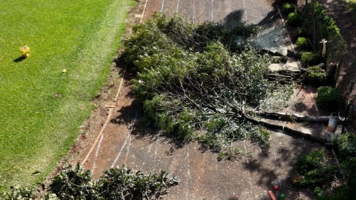 Pista de caminhada do Complexo do Verdão é fechada para obras em Chapecó