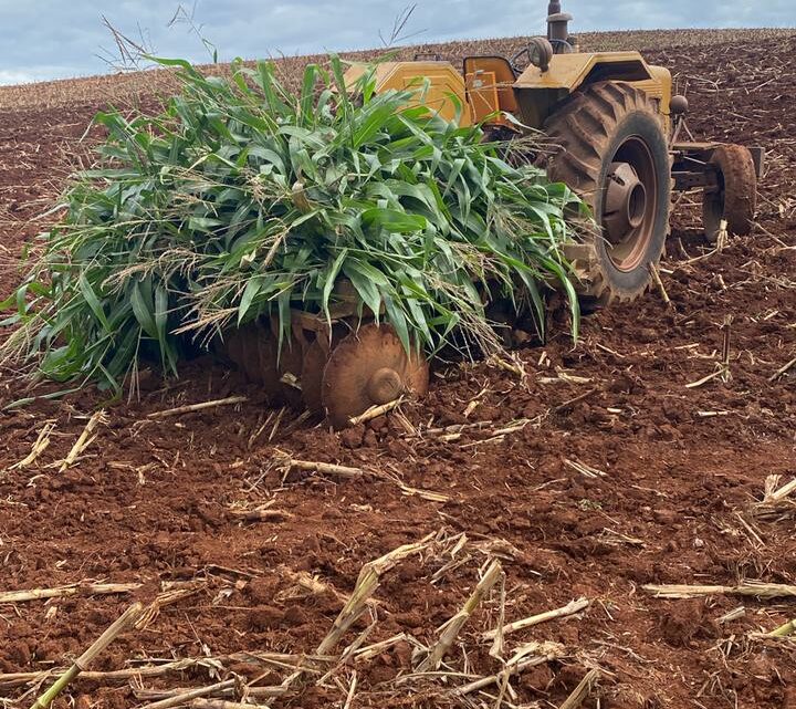 Acidente com trator em Iporã do Oeste resulta em morte de idoso Acidente com trator em Iporã do Oeste resulta em morte de idoso