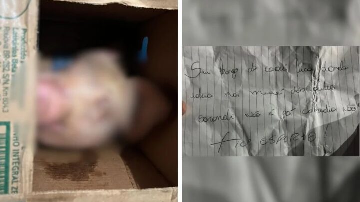 “Fica esperto”: homem recebe cabeça de porco e bilhete ameaçador