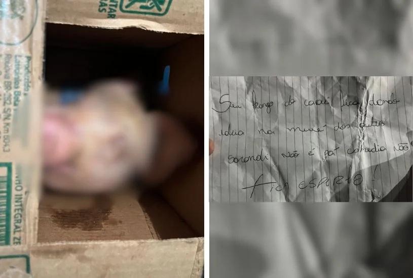 “Fica esperto”: homem recebe cabeça de porco e bilhete ameaçador “Fica esperto”: homem recebe cabeça de porco e bilhete ameaçador
