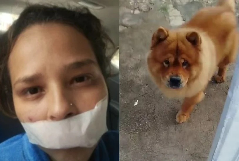 Cão é submetido à eutanásia após arrancar parte do lábio da dona Cão é submetido à eutanásia após arrancar parte do lábio da dona