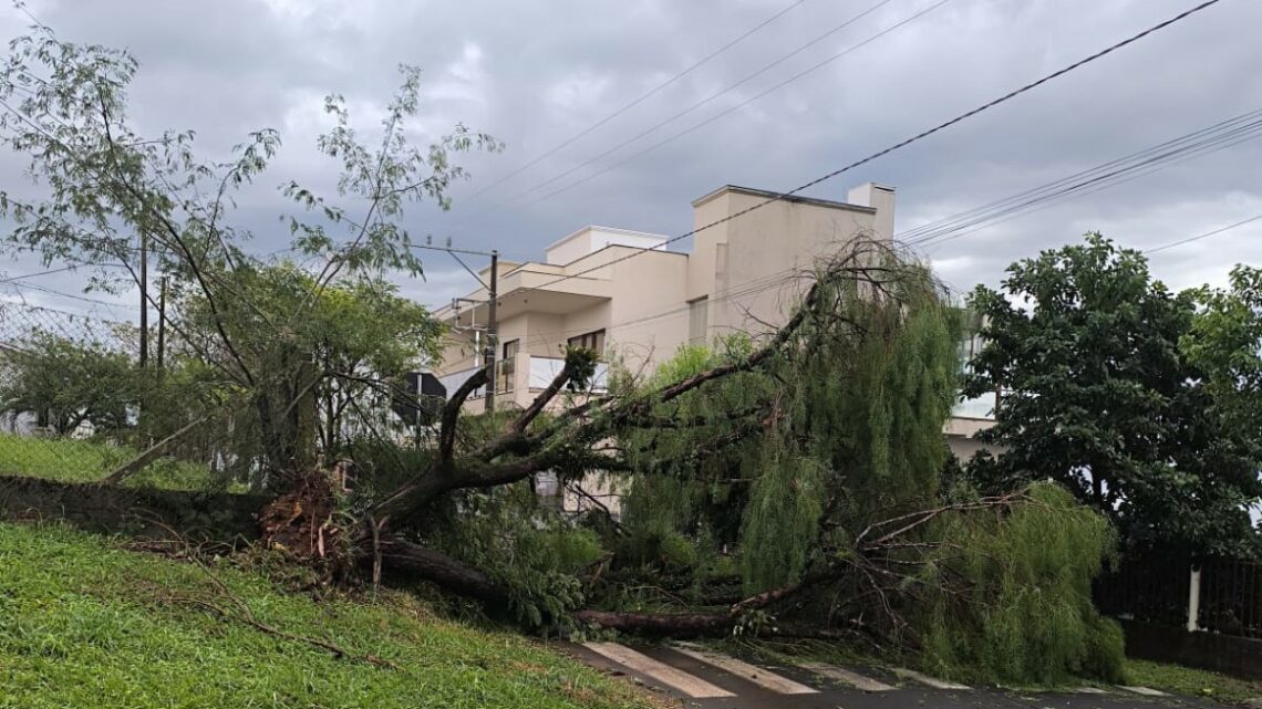 Temporal causa destelhamentos e queda de árvores no Extremo-Oeste de SC Temporal causa destelhamentos e queda de árvores no Extremo-Oeste de SC
