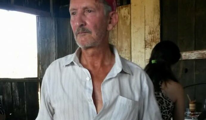 Idoso morre ao cair de araucária durante colheita de pinhão em Anita Garibaldi