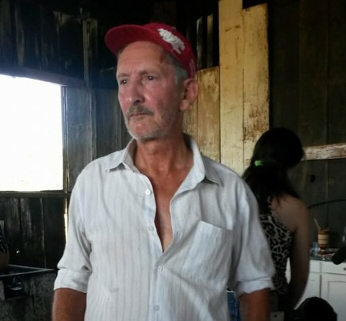 Idoso morre ao cair de araucária durante colheita de pinhão em Anita Garibaldi Idoso morre ao cair de araucária durante colheita de pinhão em Anita Garibaldi