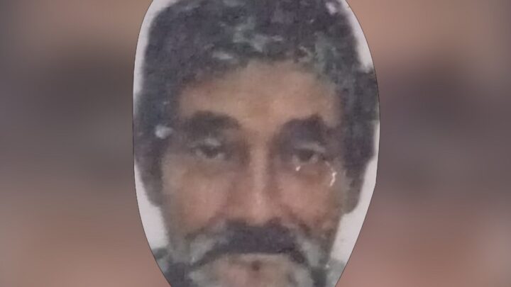 Homem morto é encontrado em ‘Casinha do Papai Noel’ em SC