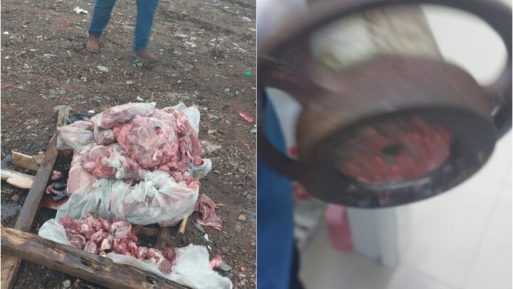 Vigilância Sanitária recolhe mais de 130 kg de carne estragada em supermercado de Vargeão