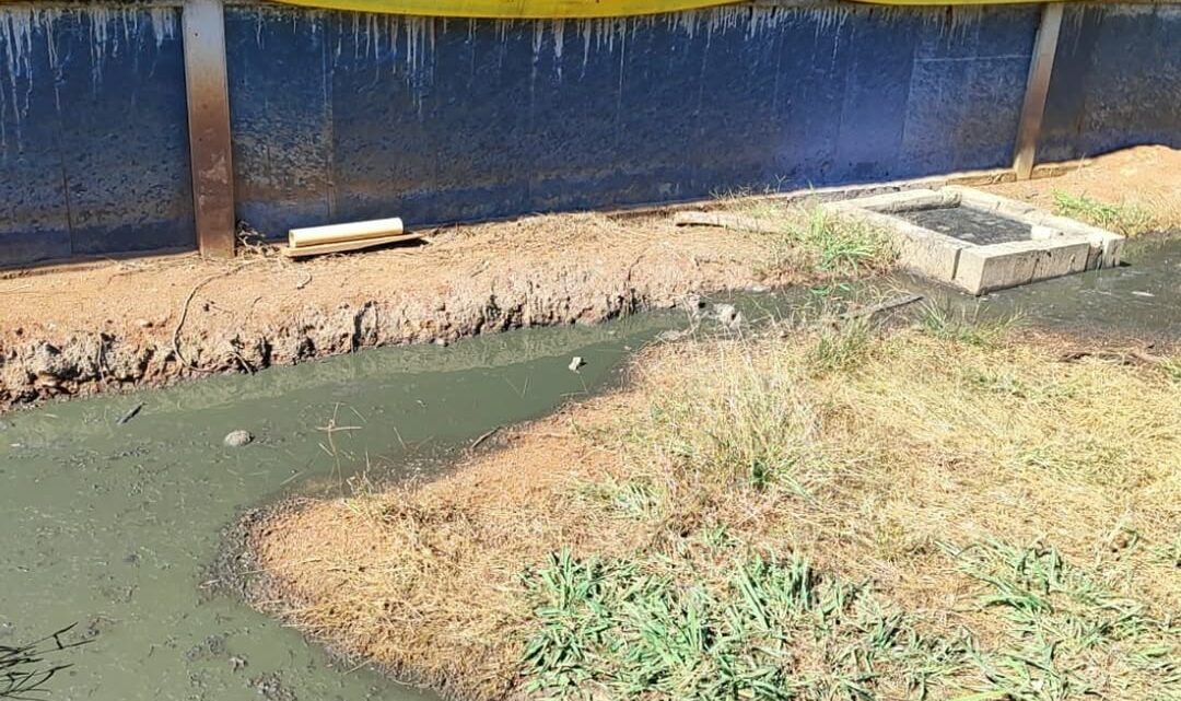 Dejetos de suínos atingem curso d’água e proprietário é notificado no Oeste; veja as imagens Dejetos de suínos atingem curso d’água e proprietário é notificado no Oeste; veja as imagens