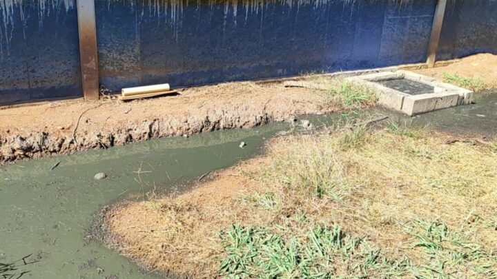 Dejetos de suínos atingem curso d’água e proprietário é notificado no Oeste; veja as imagens