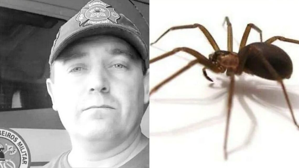Bombeiro morre após ser picado por aranha em SC Bombeiro morre após ser picado por aranha em SC