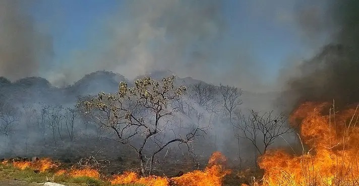 Brasil registra mais de 4 mil focos de incêndio em maio Brasil registra mais de 4 mil focos de incêndio em maio