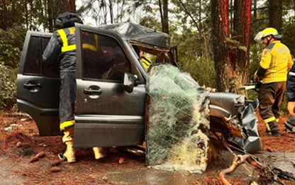 Caminhonete colide com árvore e homem morre na BR-282