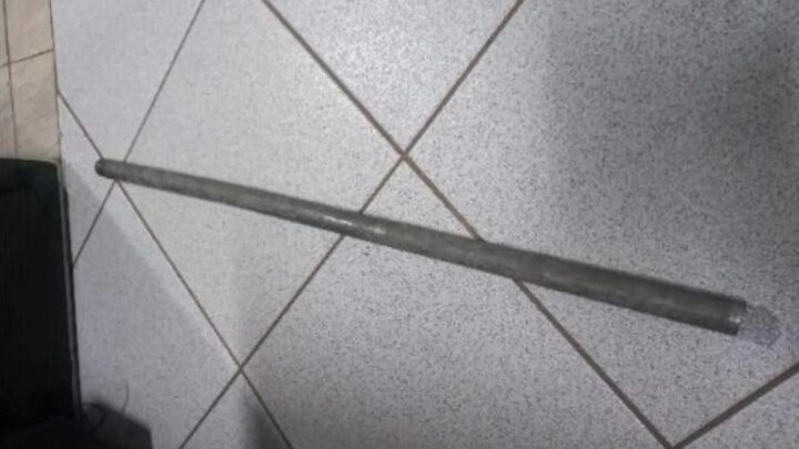 Jovem é preso após matar gatos com barra de ferro em Caçador SC