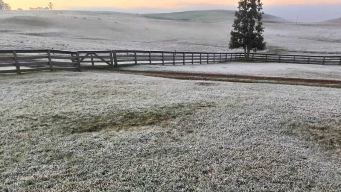 Serra Catarinense amanhece com geada e temperaturas congelantes; veja as fotos Serra Catarinense amanhece com geada e temperaturas congelantes; veja as fotos