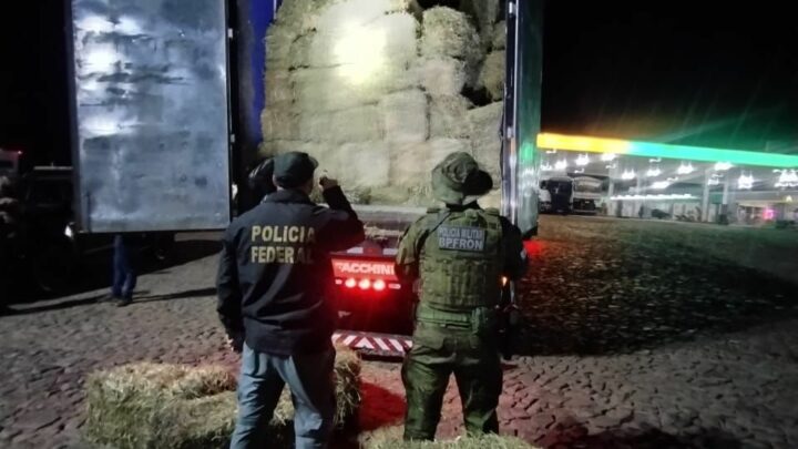 Polícia Federal e BPFRON/PR apreendem carreta carregada com feno clandestino na fronteira com a Argentina